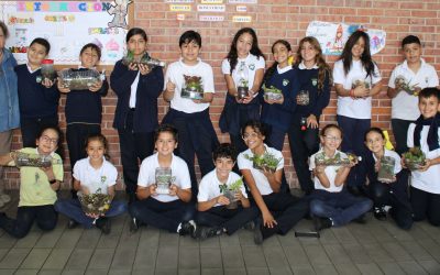 Mensaje Claret Nro. 874